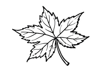  Canadian Maple Leaf Symbol Vector Illustration