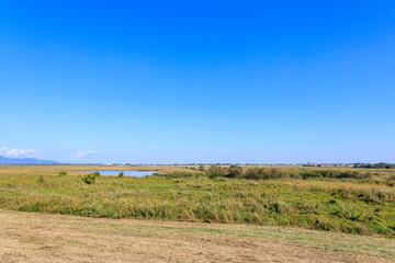 美しく広大なヨシ原
栃木県栃木市渡良瀬遊水地-2024
