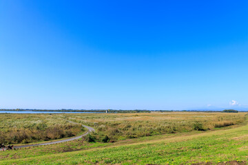 美しく広大なヨシ原
栃木県栃木市渡良瀬遊水地-2024

