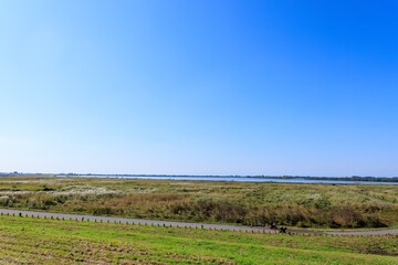 美しく広大なヨシ原
栃木県栃木市渡良瀬遊水地-2024
