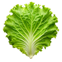 Salad leaf isolated on transparent background