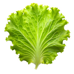 Salad leaf isolated on transparent background