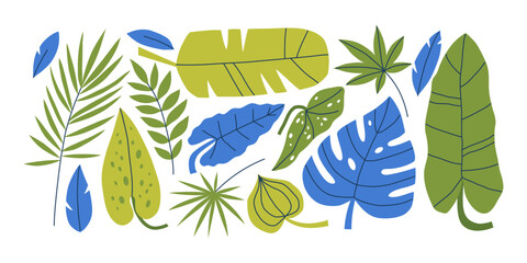 Fototapeta premium Set of various tropical leaves. Collection of abstract botanical leaves palm, banana leaf, monstera. Hand drawn vector illustration.