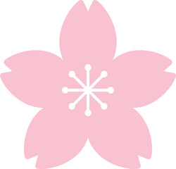 桜の花　シンプル　単体