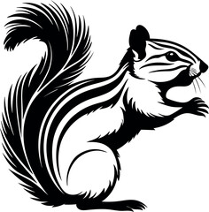 Squirrel silhoutte vector illustration