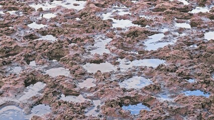 Spring Thaw Muddy Ground Difficult to Pass for Vehicle