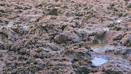 Spring Thaw Muddy Ground Difficult to Pass for Vehicle