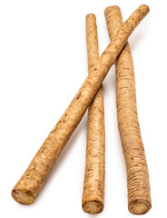 Gobo Root or Burdock Root an Asian culinary herb on white background, Burdock root for Japanese cooking isolate on white with clipping path
