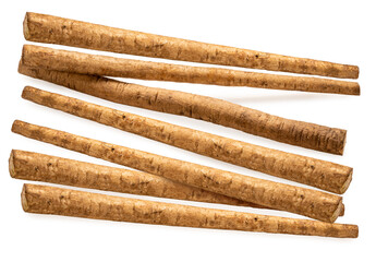 Gobo Root or Burdock Root an Asian culinary herb on white background, Burdock root for Japanese cooking isolate on white with clipping path