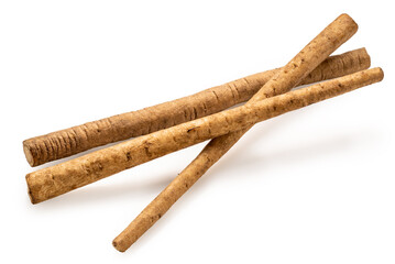 Gobo Root or Burdock Root an Asian culinary herb on white background, Burdock root for Japanese cooking isolate on white with clipping path