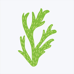 green grass in the sea vector design