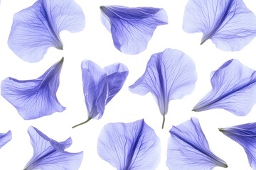 Obraz premium Petals: Delicate Flower Petals, Beauty