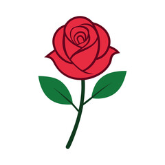 red rose isolated on white