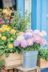 Fototapeta premium tulips, pastel colors, spring theme, floral arrangement, rustic decor, vintage buckets, hay bales, wooden table, natural light, countryside setting,