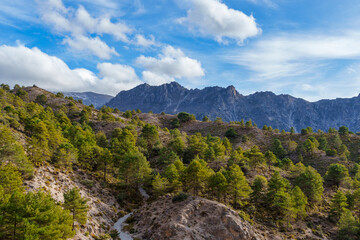 Scenic View of the Alayos Mountains in Granada with Pine Forest