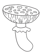 Beautiful hand-drawn mushroom illustration in black and white, ideal for coloring books. Detailed line art, perfect for kids and adults who love nature and creativity