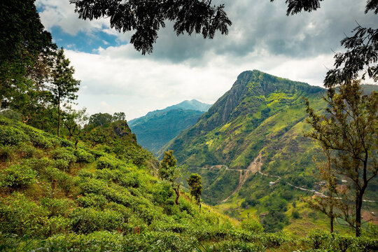 Ella Rock view in Sri Lanka