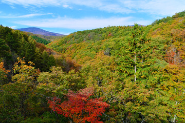 中津川渓谷の紅葉　福島県

