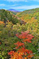 中津川渓谷の紅葉　福島県
