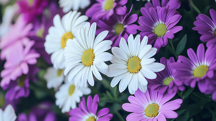 Fototapeta premium A close-up shot of a bouquet featuring purple and white flowers.