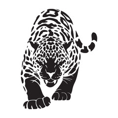 vector illustration of a leopard