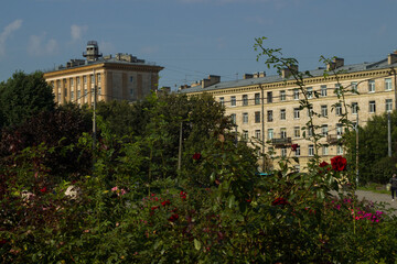 Stalinist apartment buildings in a green park