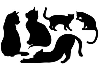 Cat Design Bundle