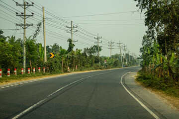 Fototapeta premium Peaceful road surrounded by green trees. This type of road
