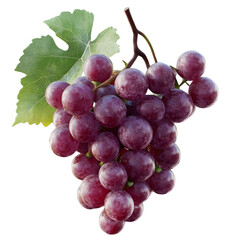 Fototapeta premium Red Grapes Bunch, Isolated on Transparent Background PNG