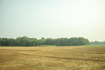 Fototapeta premium The field is being prepared for planting crops
