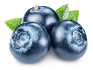 Three ripe blueberries with green leaves on white background. File contains clipping path.