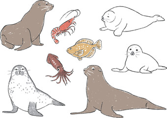 アシカとアザラシと魚介の手書きイラストセット © kayo