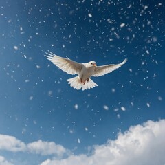 Obraz premium seagull in flight