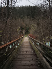 Fototapeta premium Wooden bridge crossing alpine river, leading into misty autumnal forest near mountainous chamonix landscape