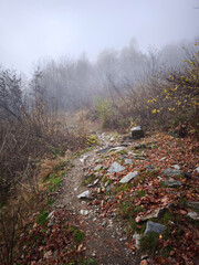 Rocky hiking trail winding through misty autumnal forest near chamonix, france, fallen leaves carpeting rugged mountain path