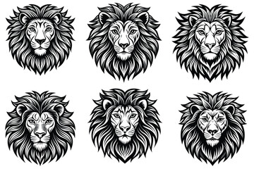 a highly detailed and stylized drawing of a lion vector line