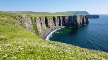 Coastal cliffs, wildflowers, ocean view, sunny day, travel