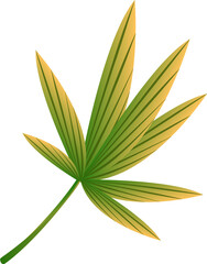 Botanic garden green palnt leaf cartoon illustration image