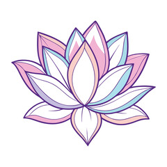 a delicate lotus flower