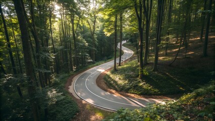 Obraz premium Winding road in the forest