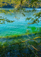 Beauty nature. The tranquil transparent waters of lake in the background. Beautiful nature lake. Landscape Reflection off of a clear lake water surface on a bright sunny day. Calm pond in the forest.