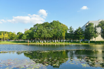 Fototapeta premium Early winter scenery at Yuanshi Park in Yinzhou District, Ningbo, Zhejiang Province, China