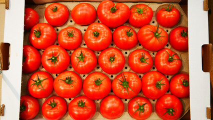Many fresh tomatoes in a market box