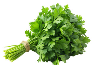 parsley isolated on white background