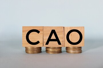CAO concept on wooden blocks with stacked coins. cao - short for chief accounting officer.