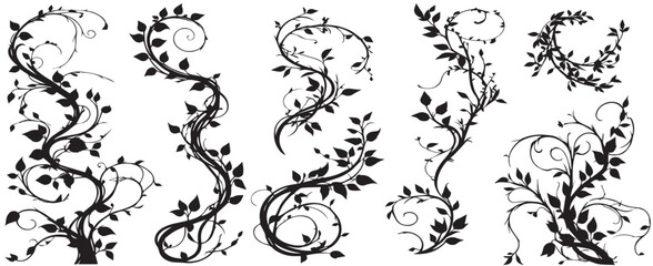 Jungle creeper silhouettes. Tropical forest lianas, rainforest hanging sprouts. Climbing liana vines flat set vector illustration