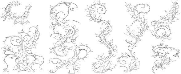 Jungle creeper silhouettes. Tropical forest lianas, rainforest hanging sprouts. Climbing liana vines flat set vector illustration