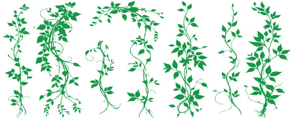 selection pattern decoration roses weaving plants. vector