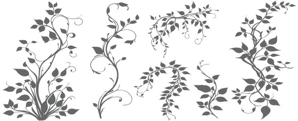 Jungle creeper silhouettes. Tropical forest lianas, rainforest hanging sprouts