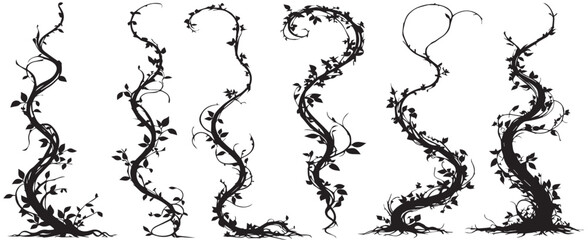 Plant flower, Vine Liana ivy plant bush nature jungle rainforest Jungle creeper silhouettes vector
